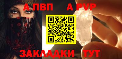 кокс Кингисепп