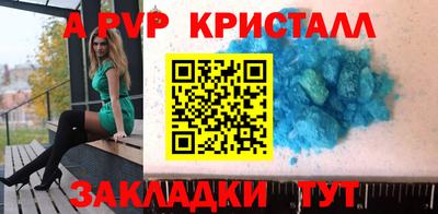 кокс Кингисепп