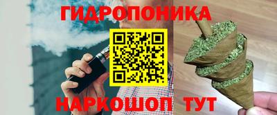 кокс Кингисепп